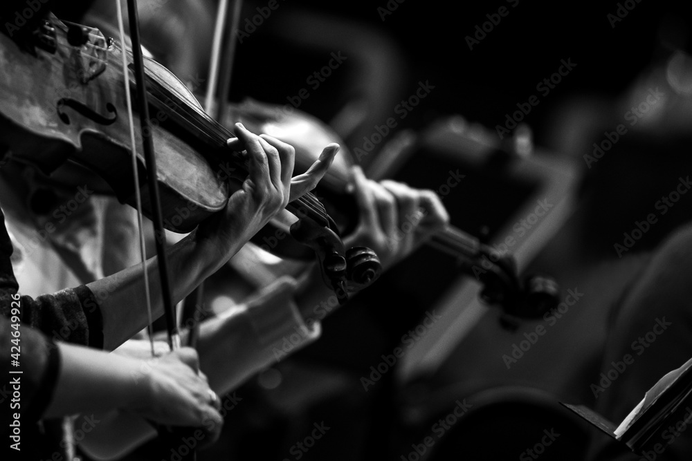Violinists' hands in a symphony orchestra in black and white Violinists' hands in a symphony orchestra in black and white