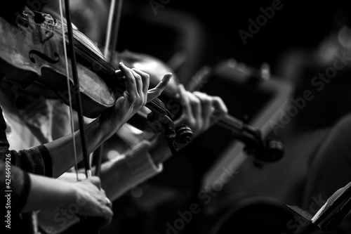Violinists' hands in a symphony orchestra in black and white