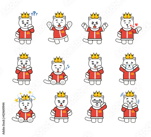 White cat king characters set showing various emotions, facial expressions. Modern vector illustration