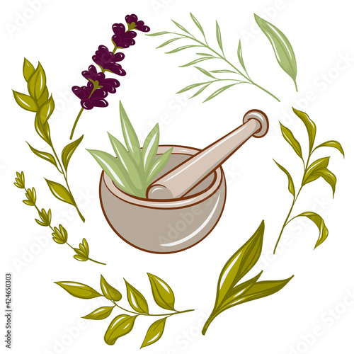 essential oil logo