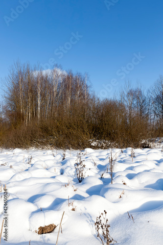 deep drifts of soft snow in the winter season