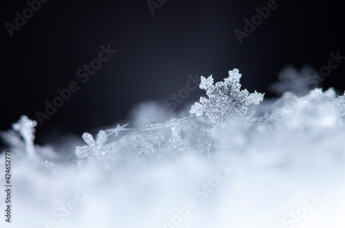 snapshot of a small snowflake taken during a snowfall © vadim_fl