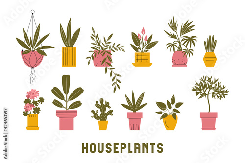 Set of simple houseplants on white background. Vector flat illustration with indoor plants
