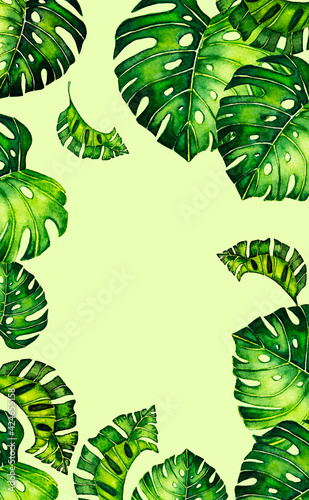 Seamless pattern of leaves monstera. Tropical leaves of palm tree. background.