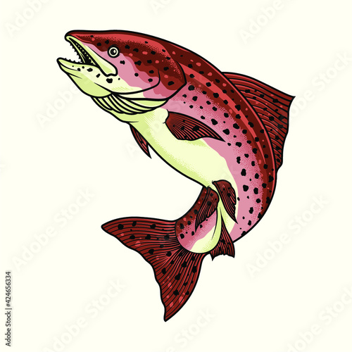 Realistic colorful salmon fish, illustration