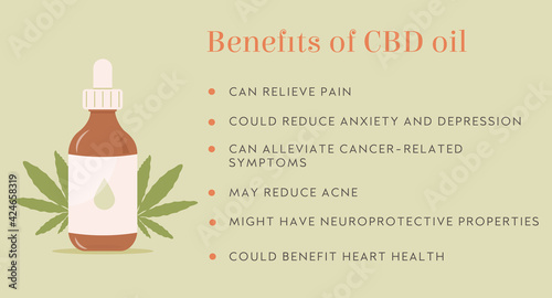 Infographic. Benefit of CBD Hemp Oil web banner in organic color with bottle, pipette and marijuana leaf on pastel background. Natural remedy. Cannabis poster. Medicine for pain, anxiety. Vector flat.