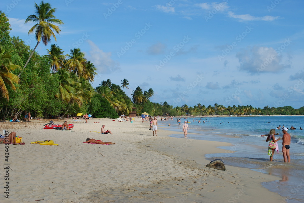 Fototapeta premium Voyage à la MARTINIQUE