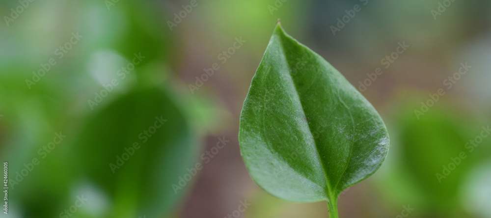 abstract background for web banners with space for text. HD Image and Large Resolution. can be used as wallpaper abstract background for web banners with space for text. HD Image and Large Resolution. can be used as wallpaper