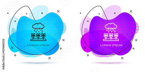 Line Plant sprouts grow in the rain icon isolated on white background. Seedling concept. Abstract banner with liquid shapes. Vector