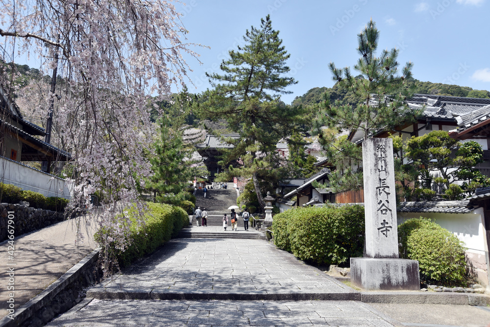 春の長谷寺　参道入口　奈良県桜井市