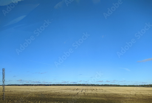 spring landscape of blue sky and fields on forest background at daytime