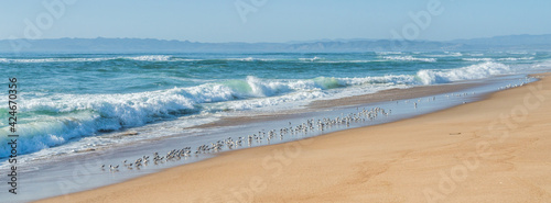 Seascape background. Turquoise colored sea, sandy beach with flock of birds, mountains and blue sky on background, panoramic view photo