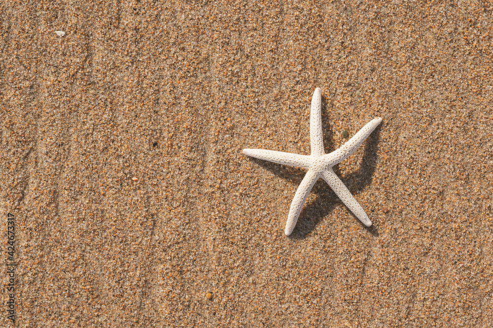 Seascape background. Sandy beach and sea star in sunny day. Flat lay with copy space Seascape background. Sandy beach and sea star in sunny day. Flat lay with copy space