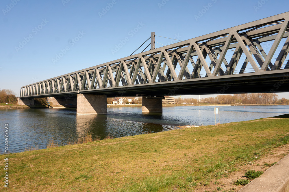 imposing steel bridge over the rhine river