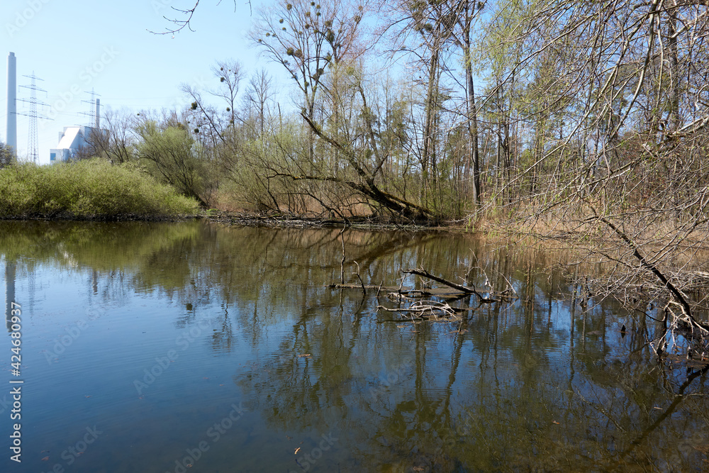 Obraz premium small blue lake with colorful trees in sunshine under blue sky