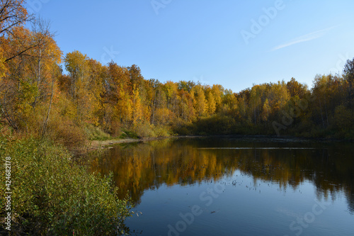 Tranquil autumn landscape with colorful forest, that reflects in the lake © Happy Dragon