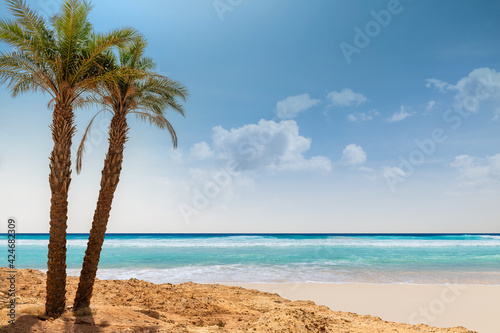 Paradise beach. Sunny beach with palm and turquoise sea in Red Sea, Egypt. Summer vacation and tropical beach concept.