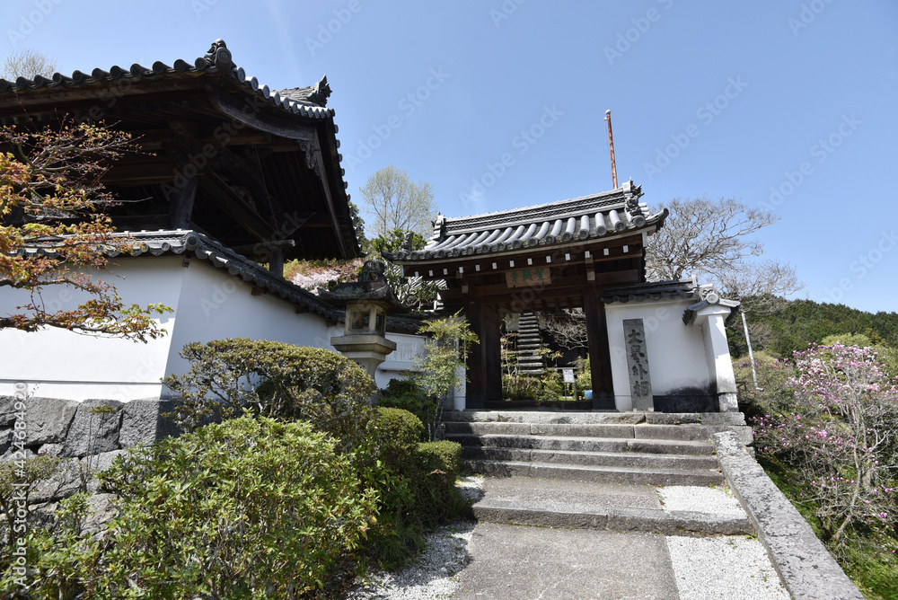 聖林寺 山門と鐘楼 奈良県桜井市 聖林寺 山門と鐘楼 奈良県桜井市