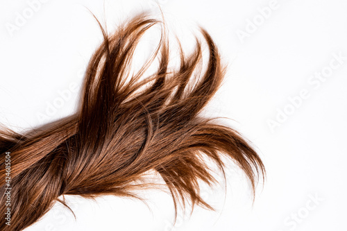 dark wood-shaped hair lie on a white background