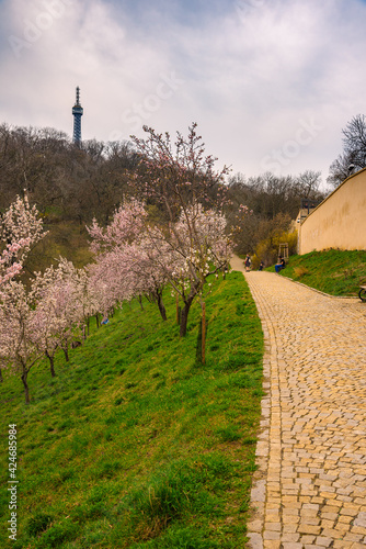 Photography Lookout tower on the Petrin Hill in flowering spring park
