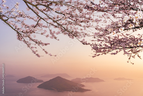 Fototapeta Naklejka Na Ścianę i Meble -  三豊市紫雲出山から眺める桜と瀬戸内海