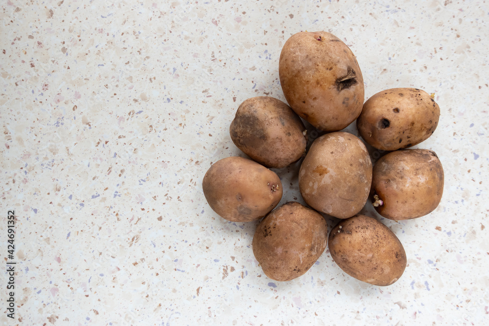 Fototapeta premium Group of potatoes on the white table. Taken at natural light falling from the window