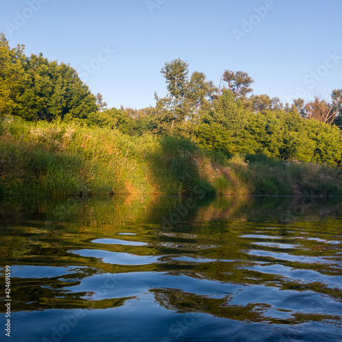 Calm landscape with river and forest, wavy water surface and grassy shore during sunny summer evening