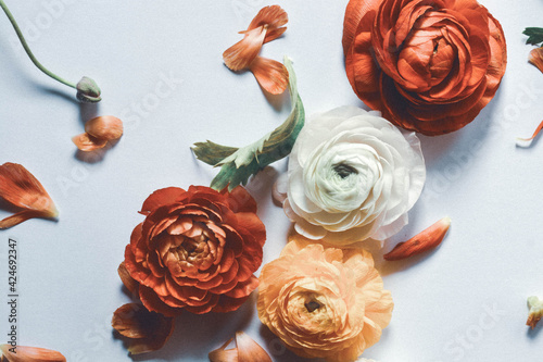 Minimalist Romantic Floral Flat Lay Background photo