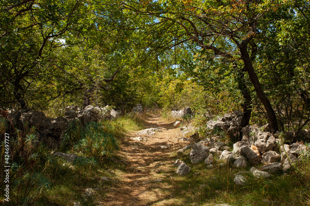 Path in the scenic Croatian countryside Path in the scenic Croatian countryside