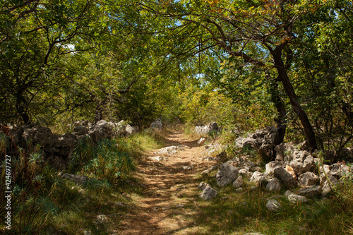 Path in the scenic Croatian countryside