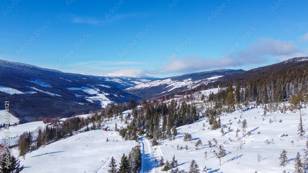 Winter landscape Norwegian village