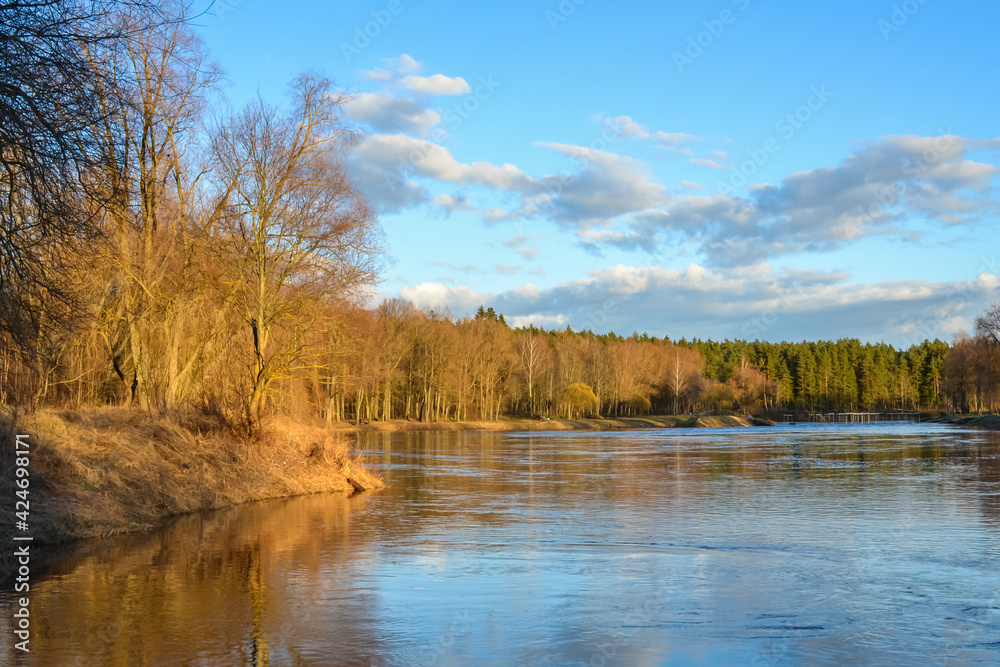 Scenic spring river view in forest with orange gold leaf and blue sky, tree leaf and water sand in stream.