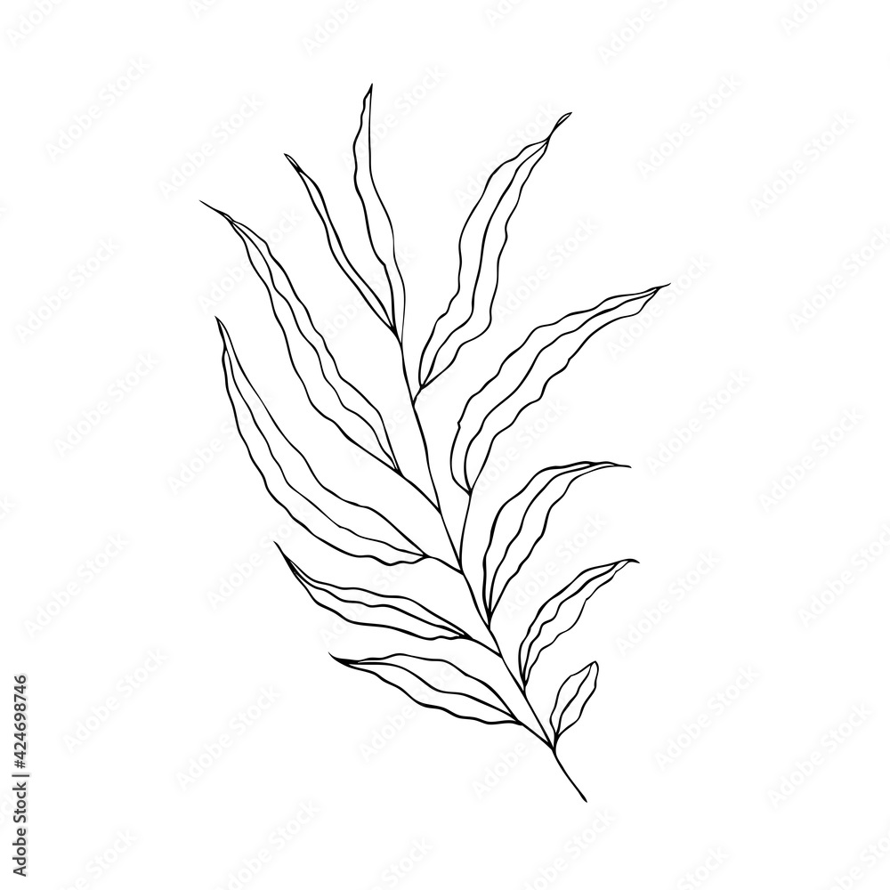 A branch of a deciduous tree on a white background. Design for logo and wedding illustration. Black and white vector illustration. A branch of a deciduous tree on a white background. Design for logo and wedding illustration. Black and white vector illustration.
