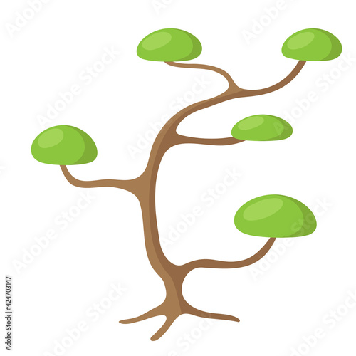 Pine nivaki, vector drawing. Bonsai garden, green tree for creating landscaping. photo