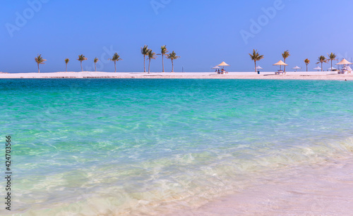 Fototapeta Naklejka Na Ścianę i Meble -  Palm trees on Al Mamzar beach in Dubai