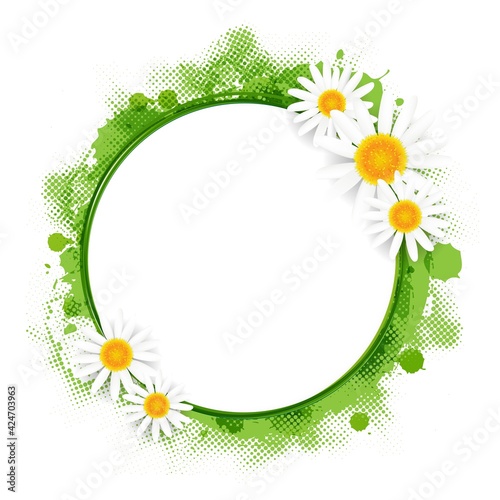 Banner With Spring Flowers Camomiles With Gradient Mesh, Vector Illustration