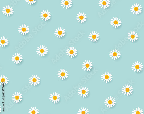 Spring Background With White Camomiles With Gradient Mesh, Vector Illustration