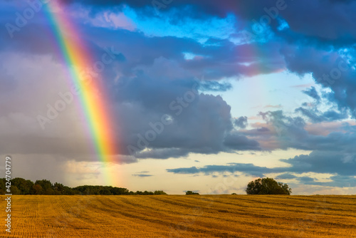 Rainbow over the wheat field landscape