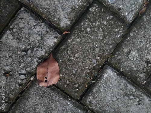 Dried Leaves on The Brick