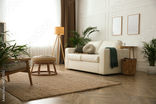 Beautiful potted house plants in stylish living room photo