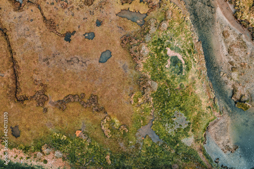Bull Island estuary viewed from above revealing vegetation and water streams. Top-down aerial view over Irish coastline.  Dublin, Ireland