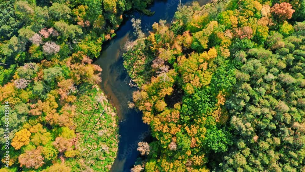 Autumn forest and river. Aerial view of nature in Poland Autumn forest and river. Aerial view of nature in Poland