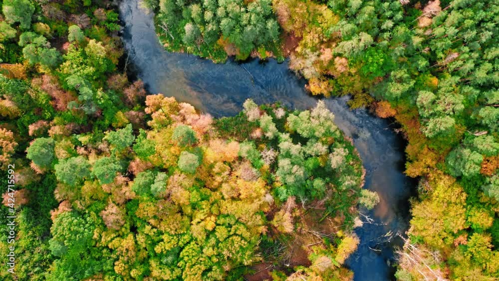 Autumn river and forest. Aerial view of wildlife in Poland Autumn river and forest. Aerial view of wildlife in Poland