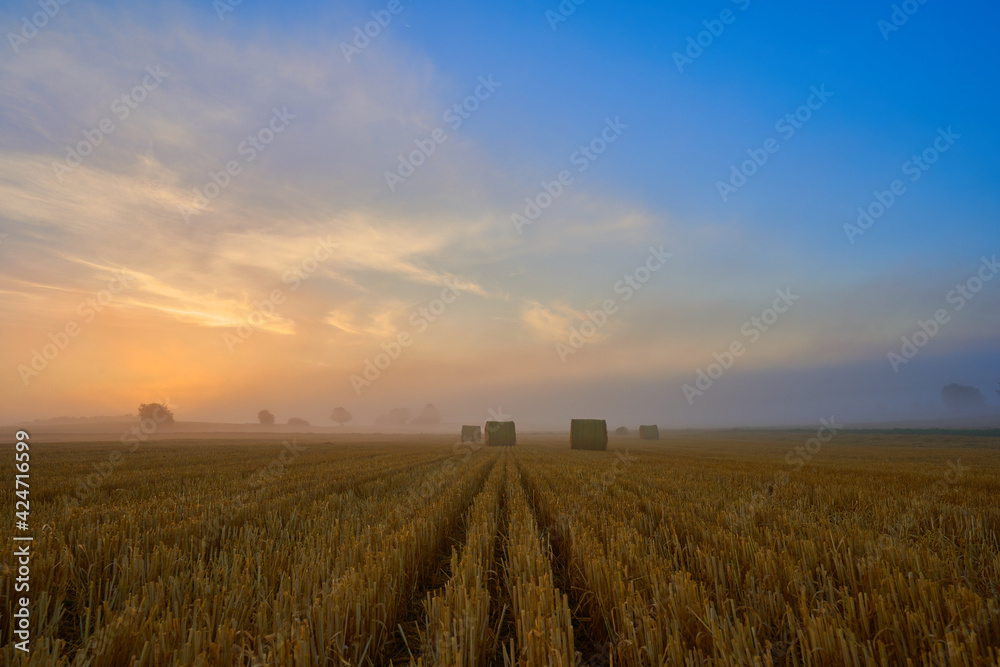 Sun rises over harvested stubble field, several round bales of straw lie on the agricultural field, blue sky with clouds. Copy space. Germany, Swabian Alb.