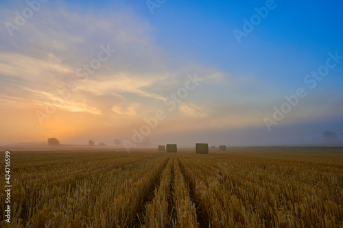 Sun rises over harvested stubble field  several round bales of straw lie on the agricultural field  blue sky with clouds. Copy space. Germany  Swabian Alb.