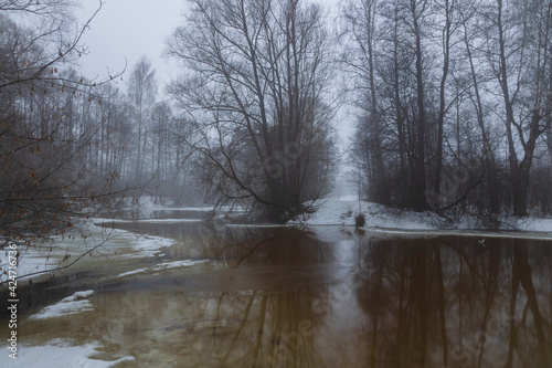 Fog over the water. Cloudy spring day by the river. Early spring, the river is in flood. Trees and bushes on the banks of the river. © Sergei