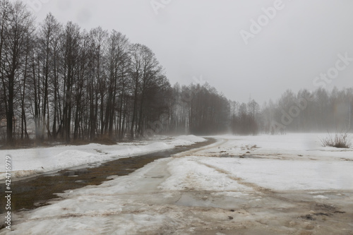 Wallpaper Mural Fog in early spring. Rain and snow. Trees in the fog. Torontodigital.ca