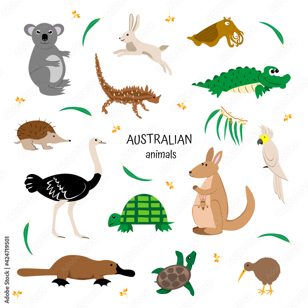 Obraz premium Australian animals set. Zoology for children. kangaroo, cockatoo, emu, ostrich, platypus, kiwi, koala, hare, crocodile, moloch, echidna.