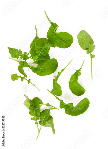 fresh rucola isolated on white background photo