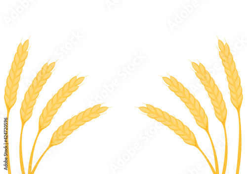 Wheat pattern wallpaper. oat symbol. free space for text.